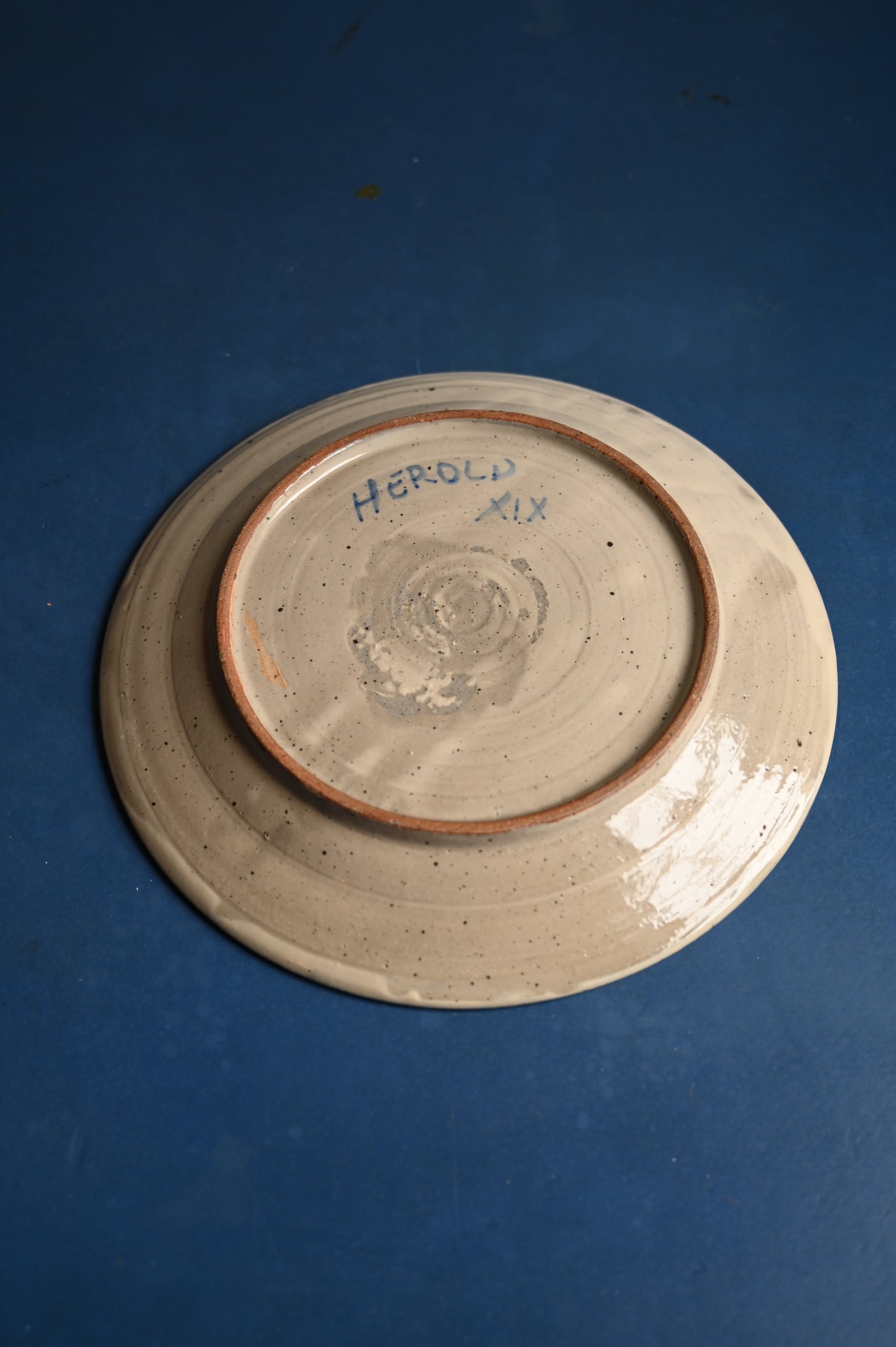 Hand painted plate XL